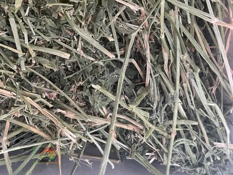 Quality 2nd Cut Irrigated Lucerne ($/bale) - photo 4