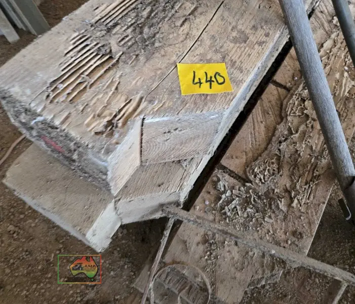 Oregon 4m Timber Beams - photo 2