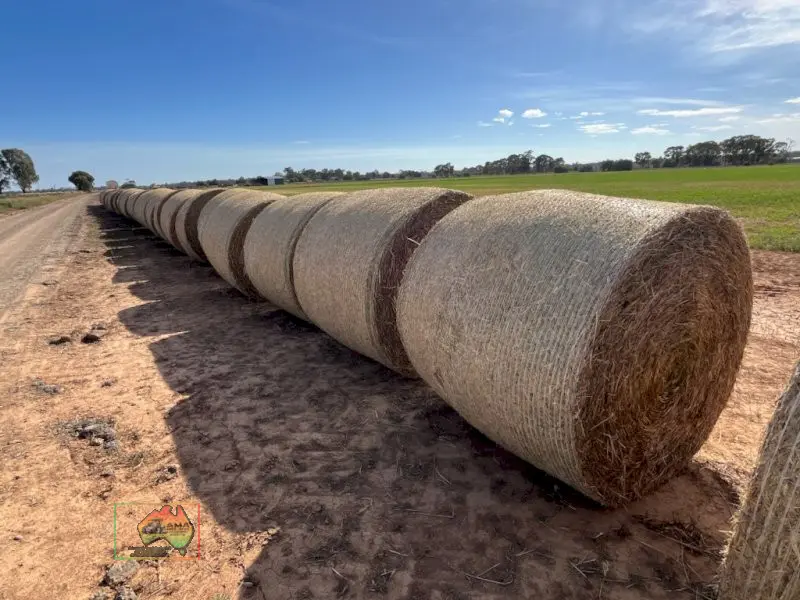 5x4 Rolls of Oaten Hay ($/Roll) - photo 1