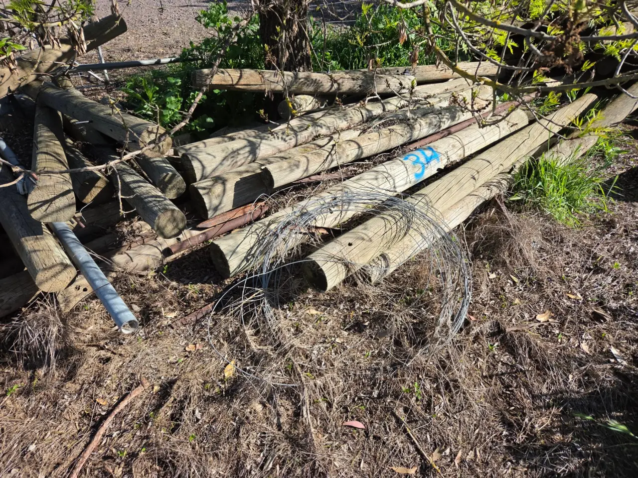 34x Assorted Pine Fence Posts - photo 3