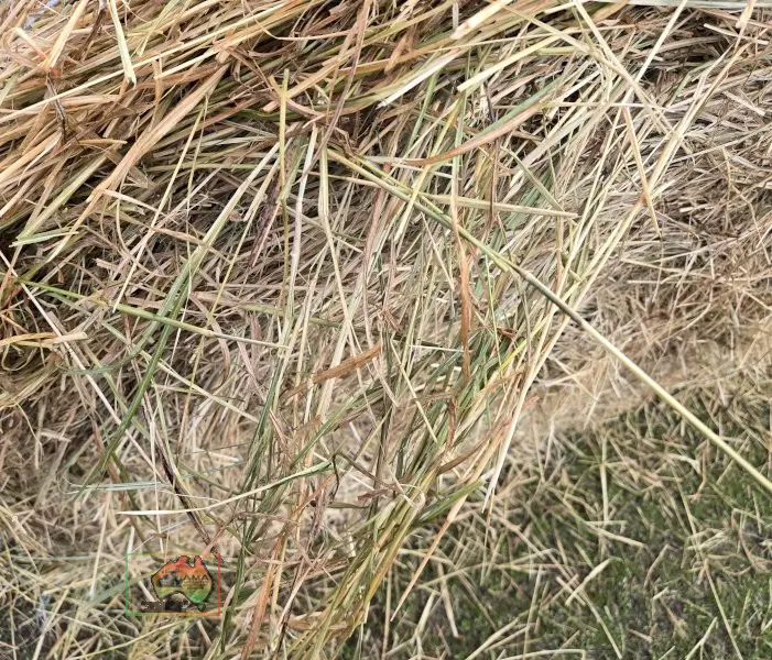 4x4 Rolls of Quality Oaten Hay - photo 3