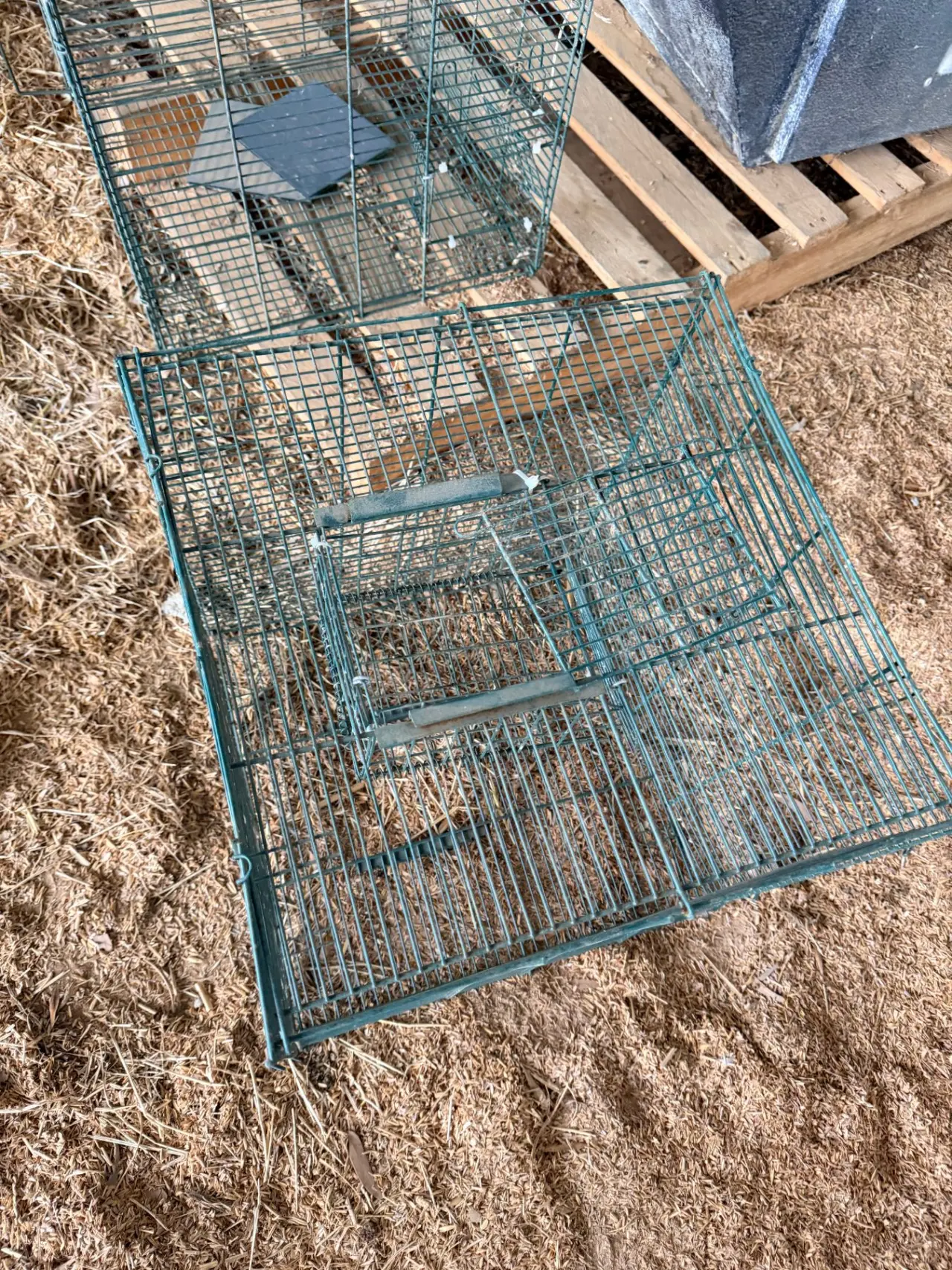 2 bird cages - photo 1