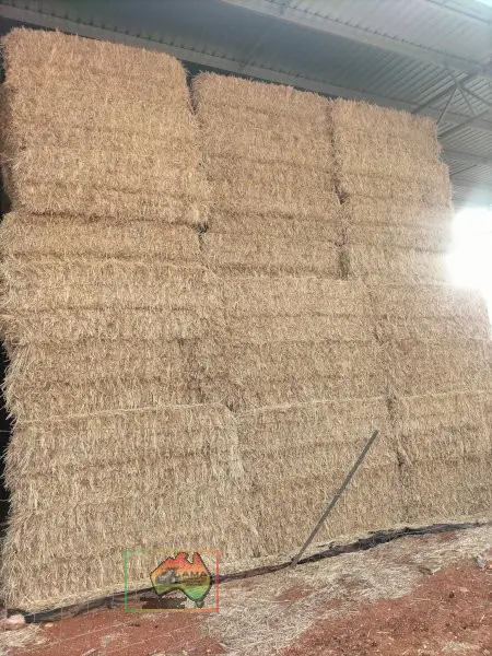 42 Bales of 8x4x3 Wheaten Hay ($/Bale) - photo 1