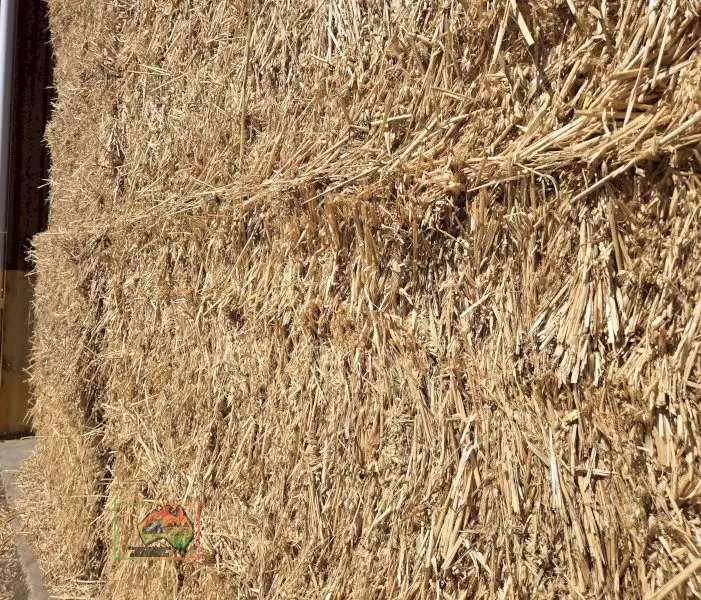 42 Bales of 8x4x3Oaten/Lucerne Hay ($/bale) - photo 2