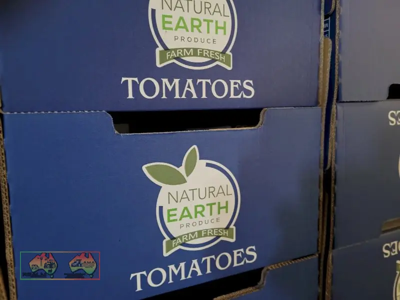 Blue Tomato Cardboard Fruit Boxes ($/Pallet) - photo 5
