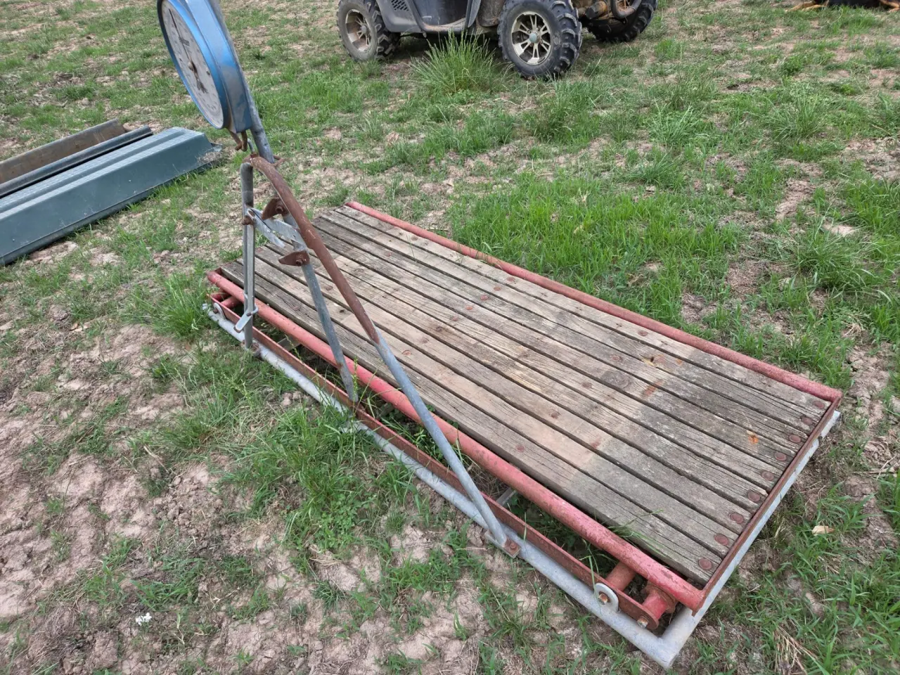 Used - In-race Livestock Weighing Platform - photo 3
