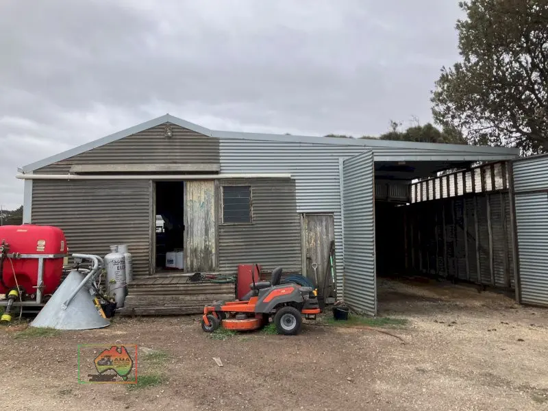 Complete Shed for Removal - photo 3