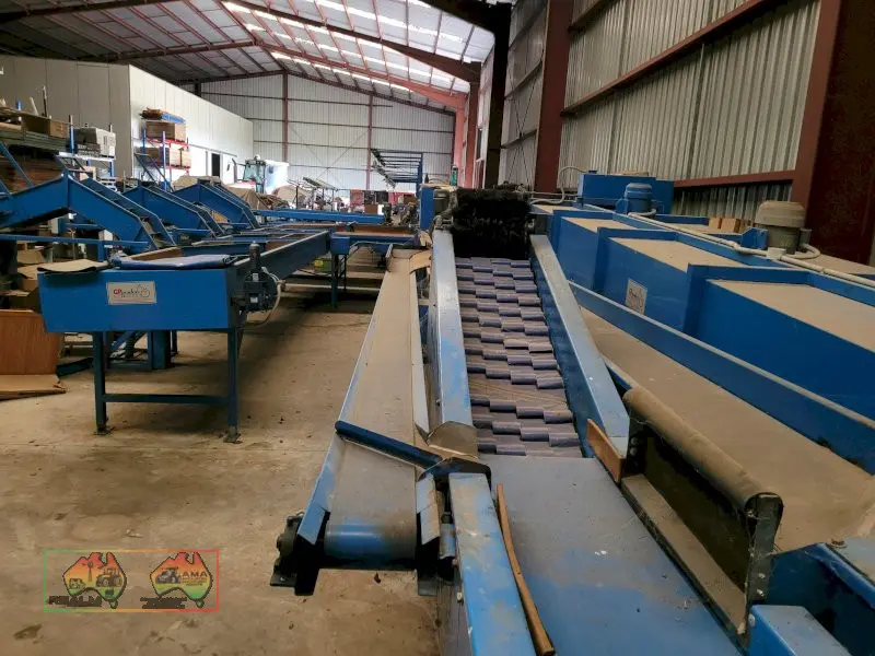 Single Row Pomme Fruit Grader - photo 30