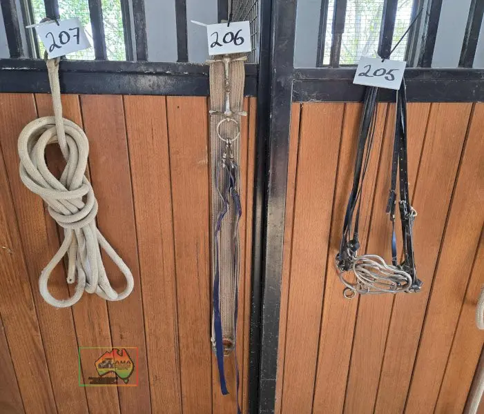 Girth Strap & Bit - photo 1