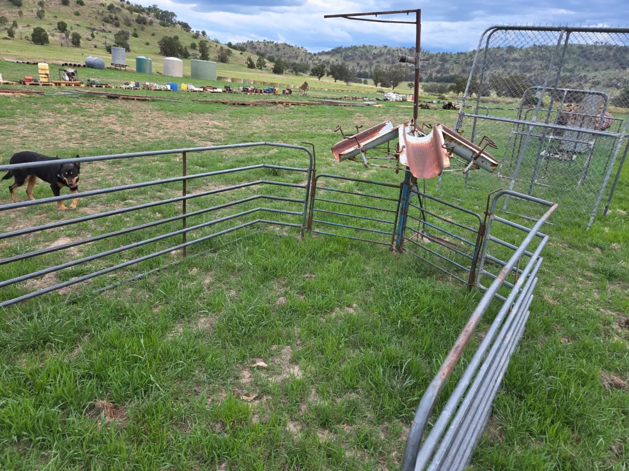 Used - Lambmarking Cradle with Catching Pen - photo 3