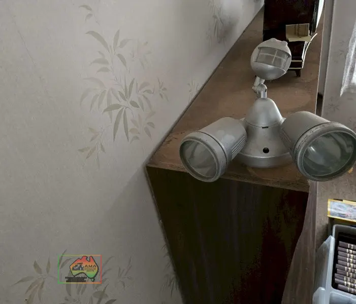 Outdoor Sensor Security Light - photo 1