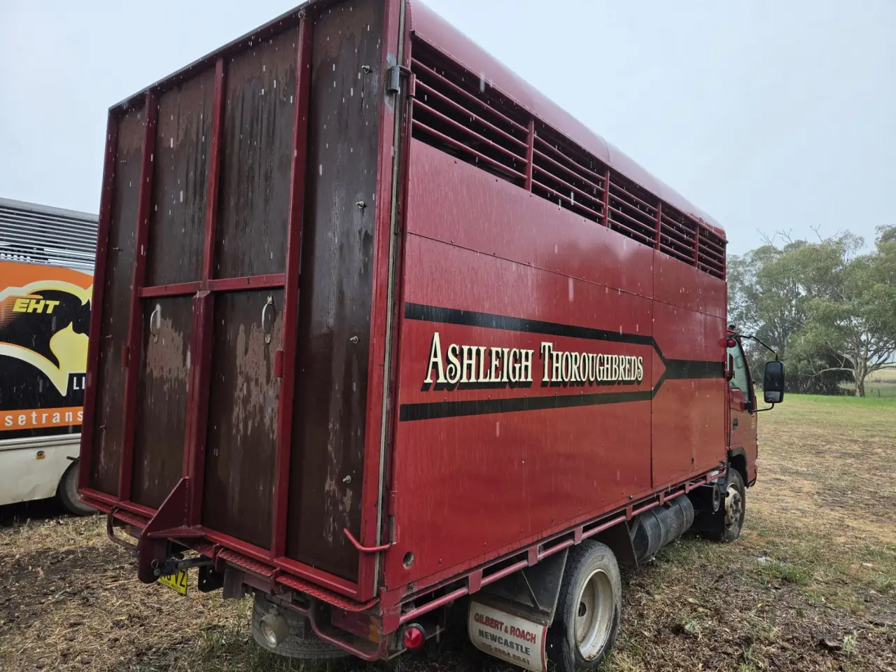Used - 2005 Isuzu NPR 300 Horse Truck - photo 5