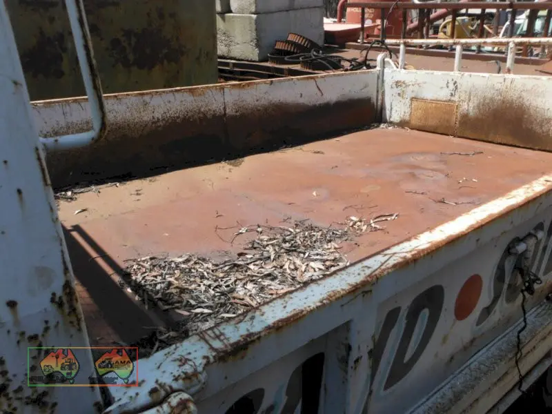 1994 Isuzu NPR66 Tipper - photo 2