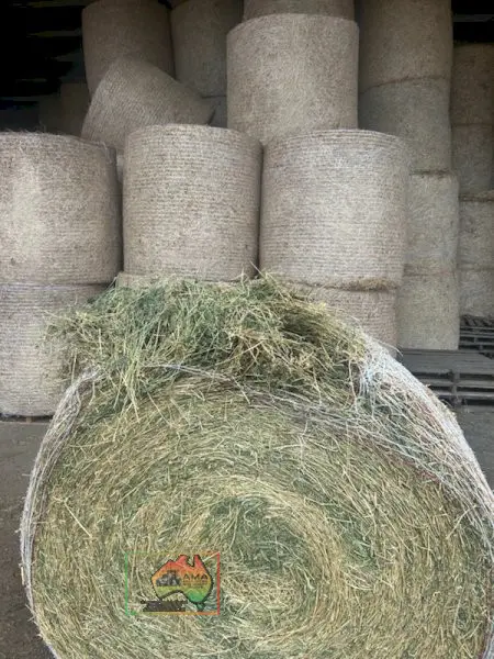 4x4 Rolls of Pure Lucerne Hay (Shedded) - photo 1