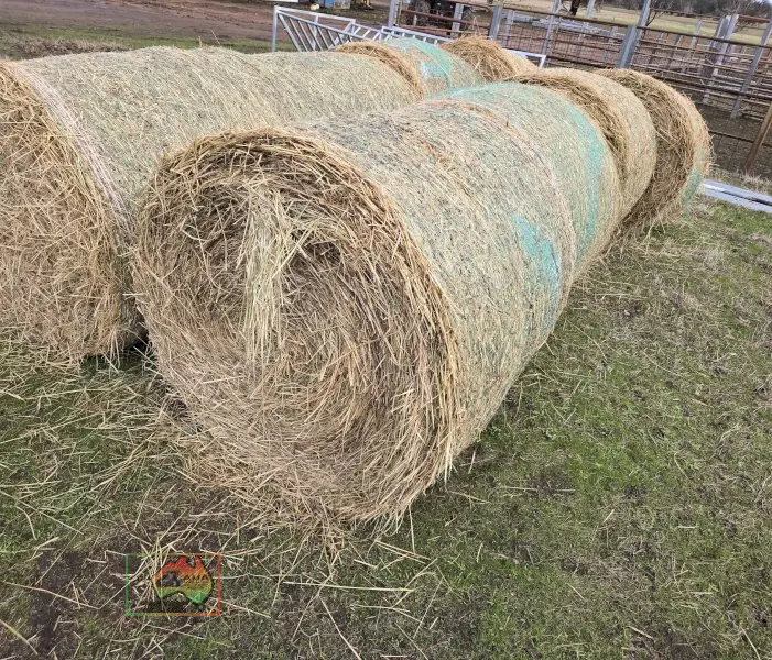 4x4 Rolls of Quality Oaten Hay - photo 2