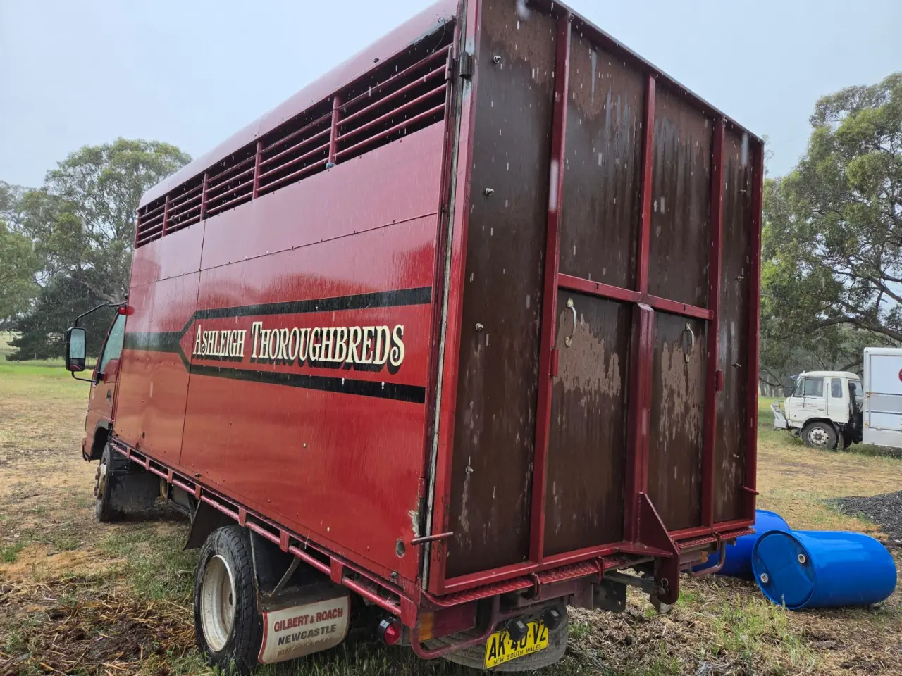 Used - 2005 Isuzu NPR 300 Horse Truck - photo 4