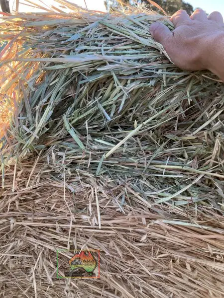 Rolls of Pure Oaten Hay ($/Roll) - photo 2