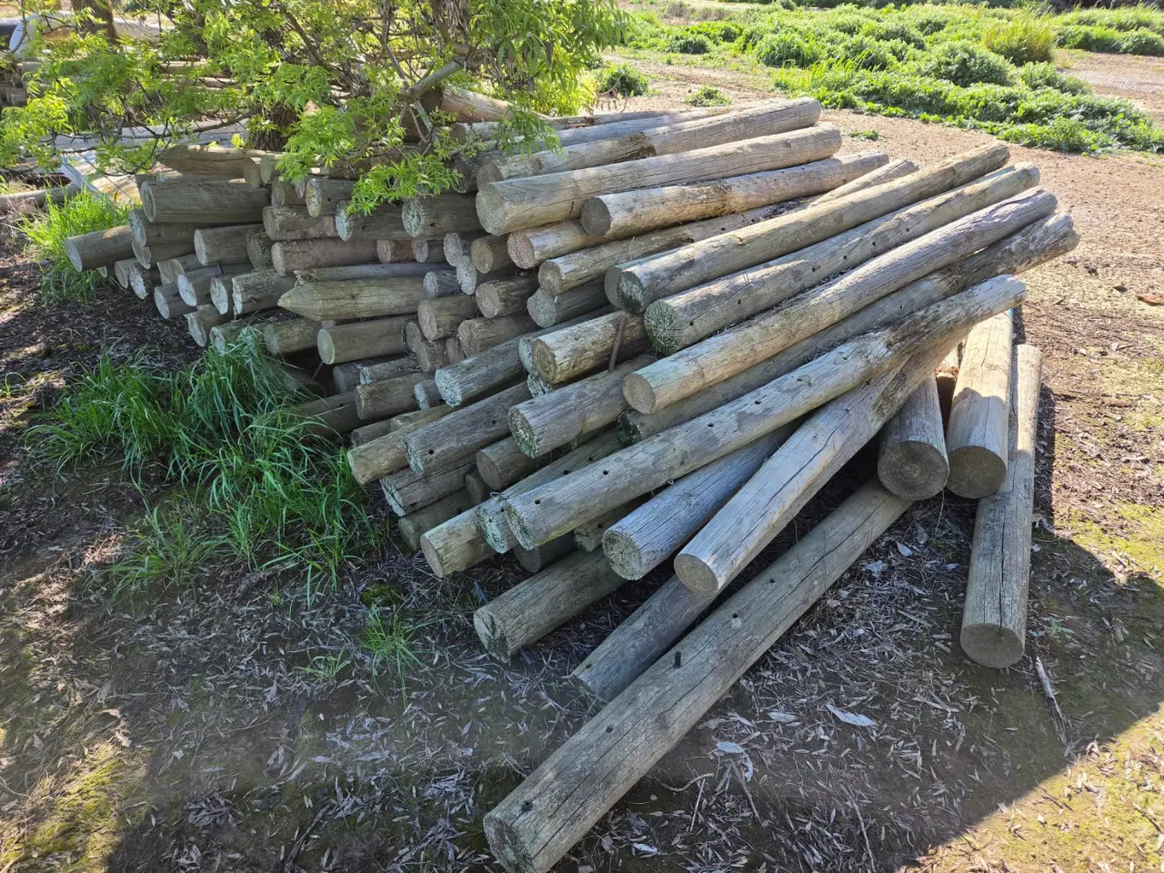 143x Assorted Pine Fence Posts - photo 3
