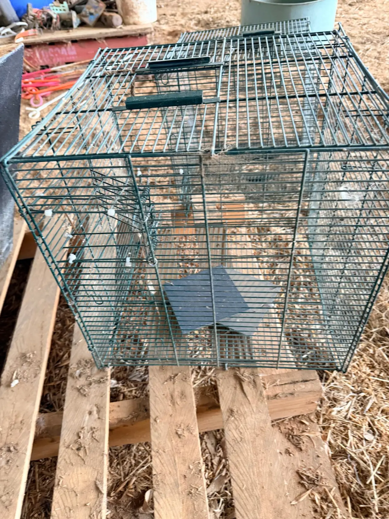 2 bird cages - photo 2