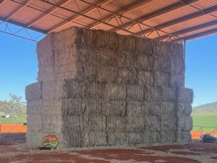 42 Bales of 8x4x3 Oaten Hay ($/Bale) - photo 1