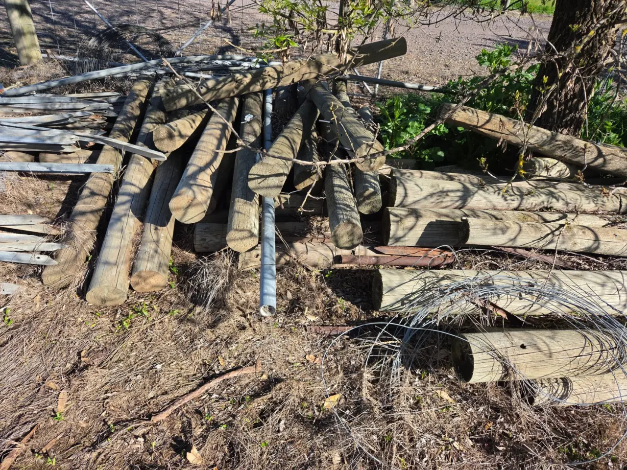 34x Assorted Pine Fence Posts - photo 2