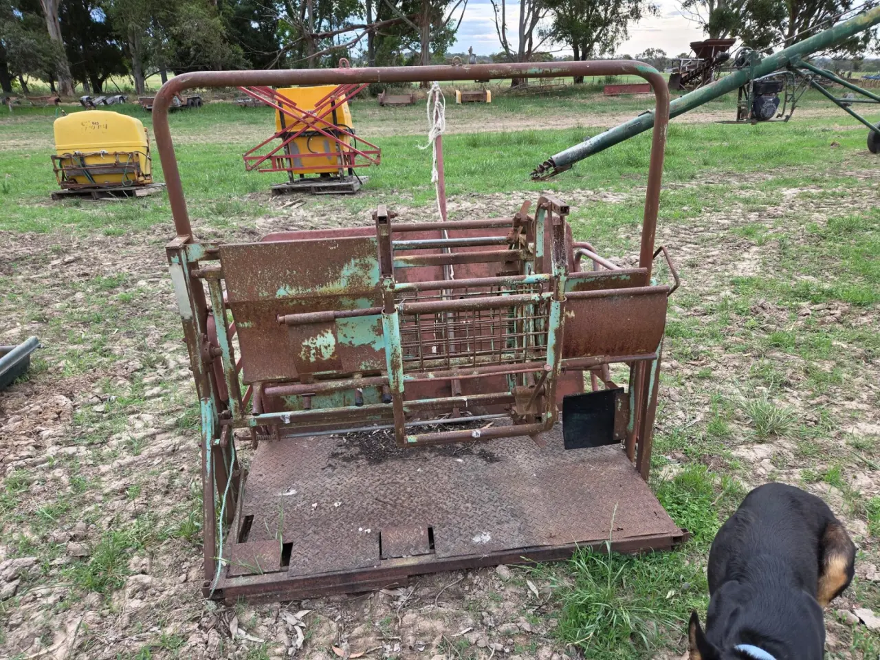 Used - Moffatt Virtue Sheep Handler - photo 3