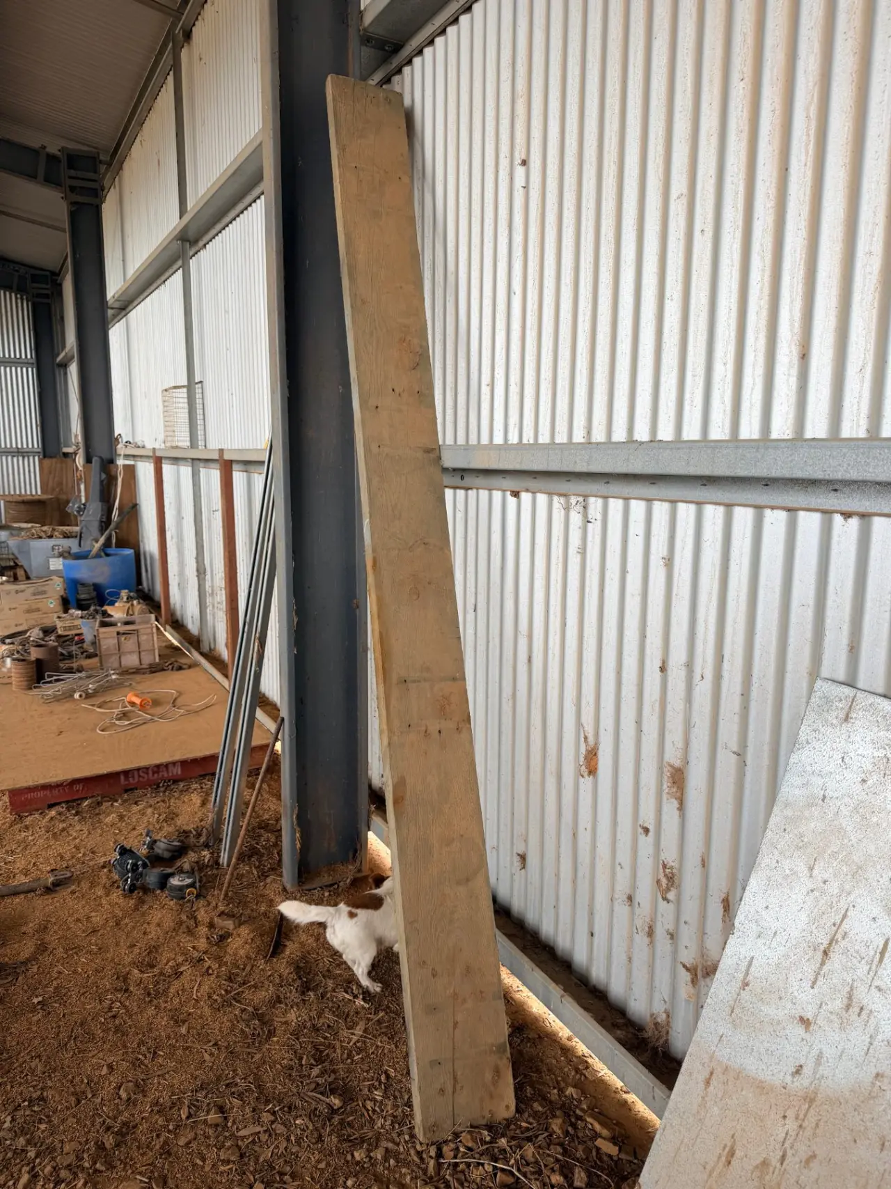 3m x 240mm x 45mm timber beam - photo 1