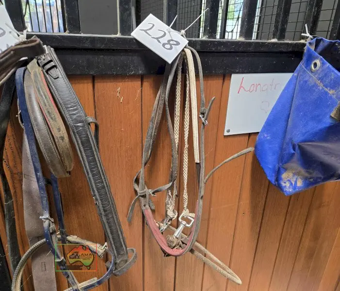Assorted Straps - photo 1