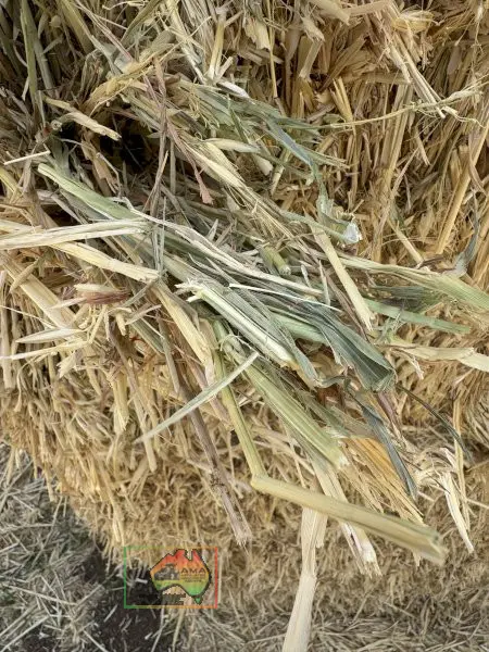 Oaten hay - photo 2