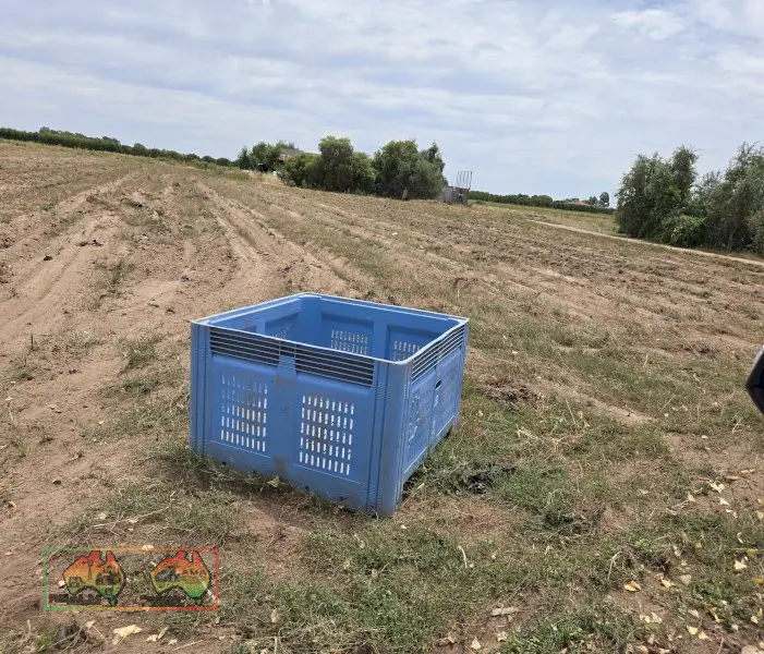 Good Quality Plastic Fruit Bins - photo 2