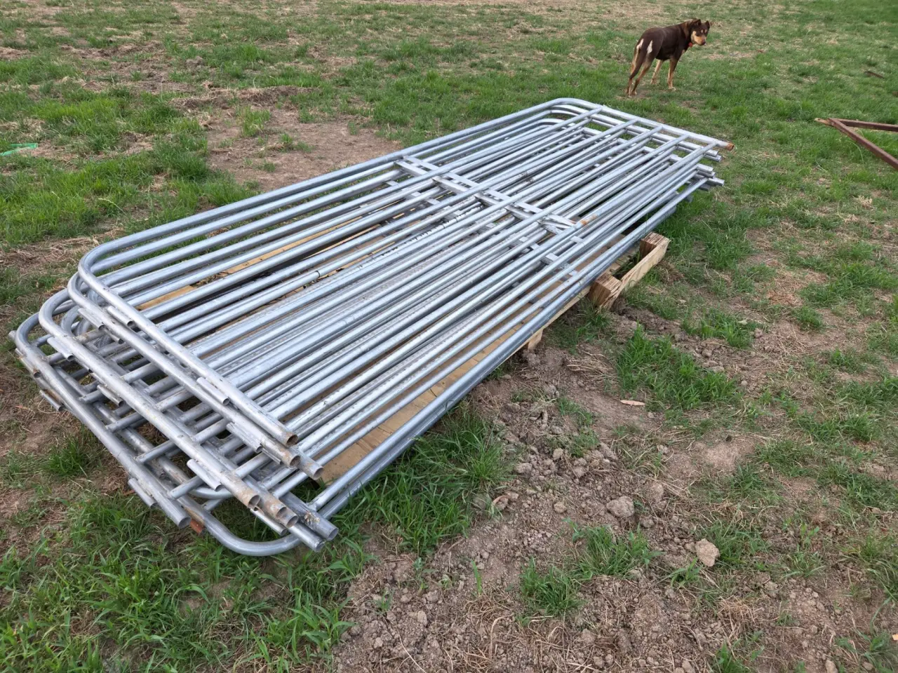Used - 3m Sheep Yard Panels ($/panel) - photo 2