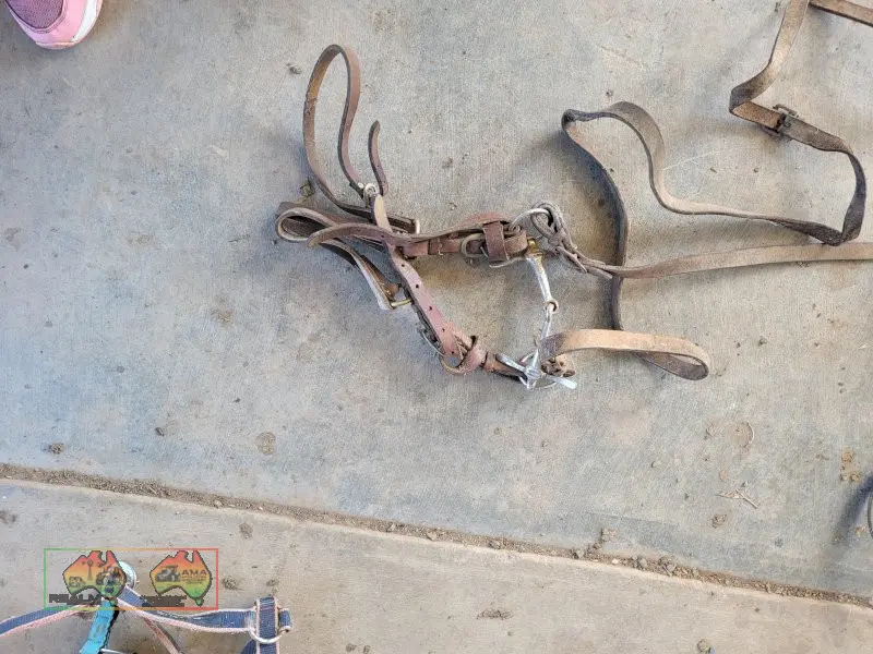 Brown Leather Bridle - photo 1