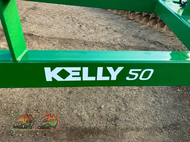 Kelly - 50F - Disc Prickle Chain - photo 2