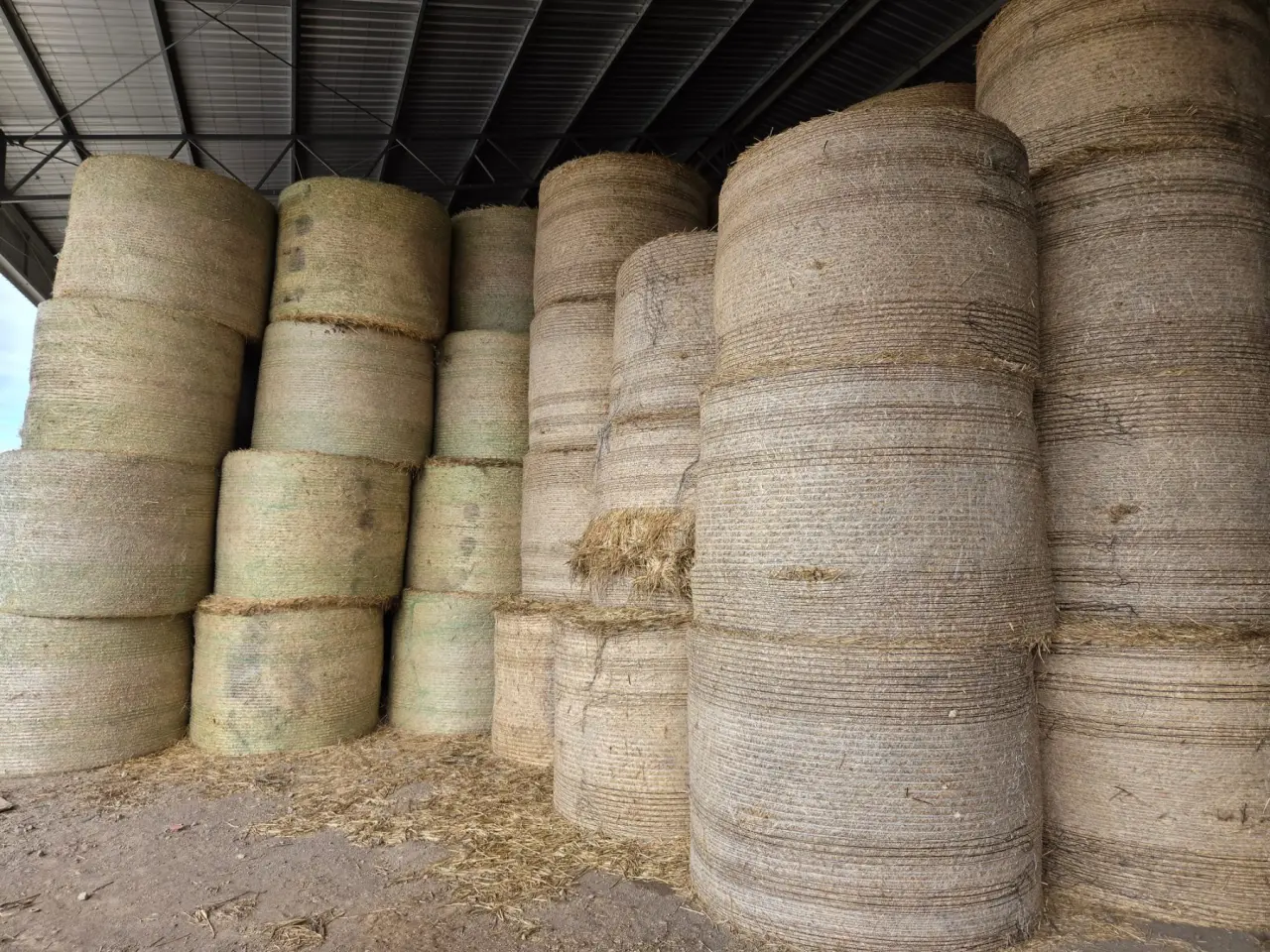 5x4 Rolls of Quality Wheaten Hay - photo 2