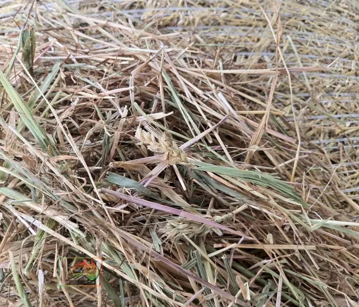 Rolls of Rye & Red Wheat Hay ($/Roll) - photo 5