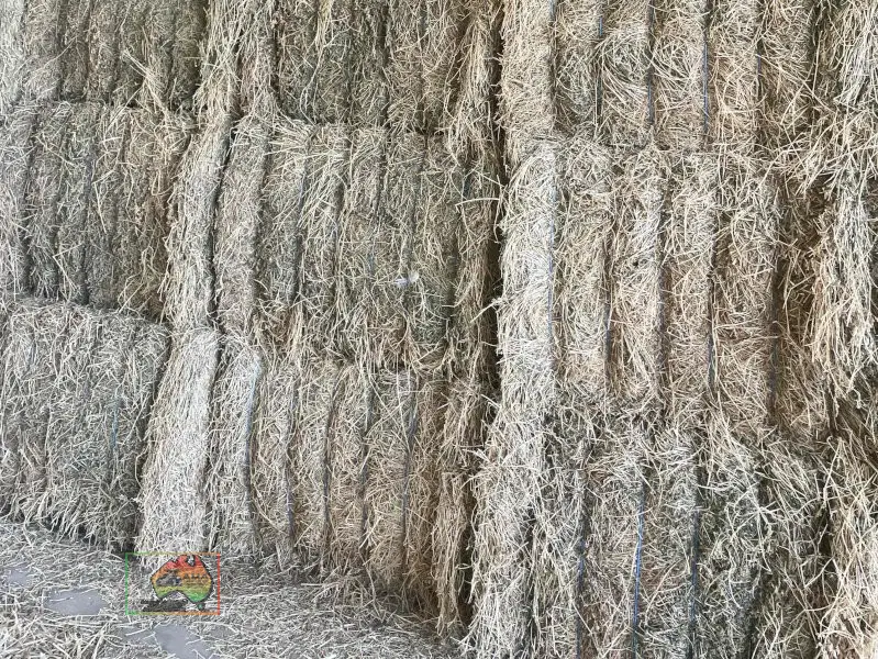 Quality 2nd Cut Irrigated Lucerne ($/bale) - photo 2