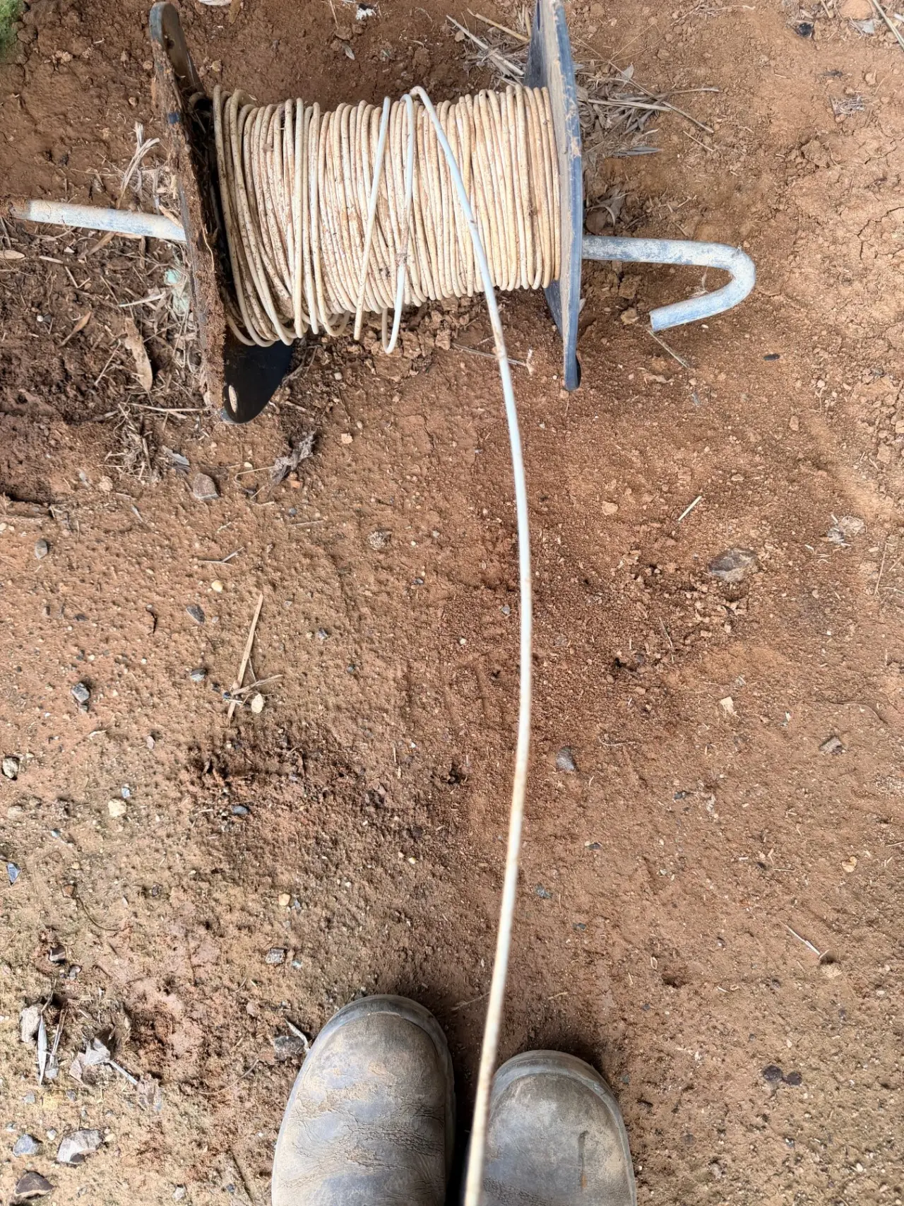 Horse sight wire - photo 2