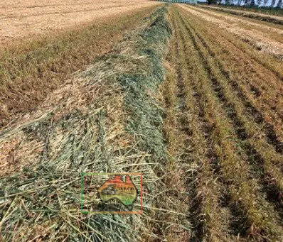 Rolls of Pure Oaten Hay ($/Bale) - photo 5