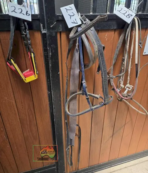 Assorted Nose Bands - photo 2