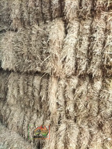 42 Bales of 8x4x3 Barley Hay ($/Bale) - photo 4
