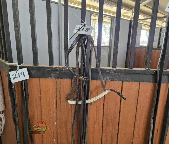 Leather Reins - photo 1