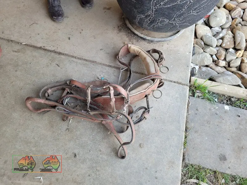 Sulky Harness (No.2) - photo 2