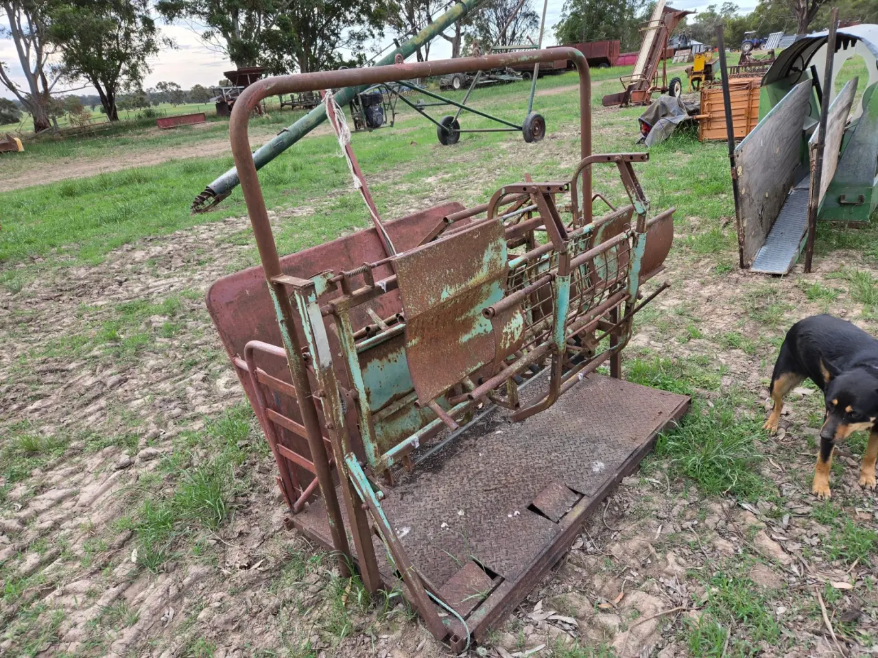 Used - Moffatt Virtue Sheep Handler - photo 4