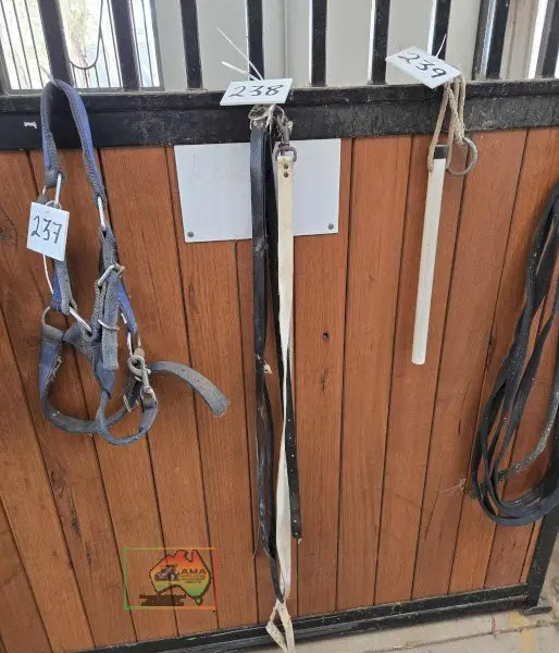 6x Neck Straps - photo 2