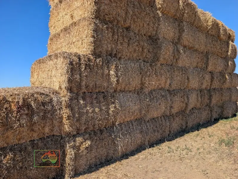 Top of Stack HDP Oaten Straw (Header Tailings) - photo 1