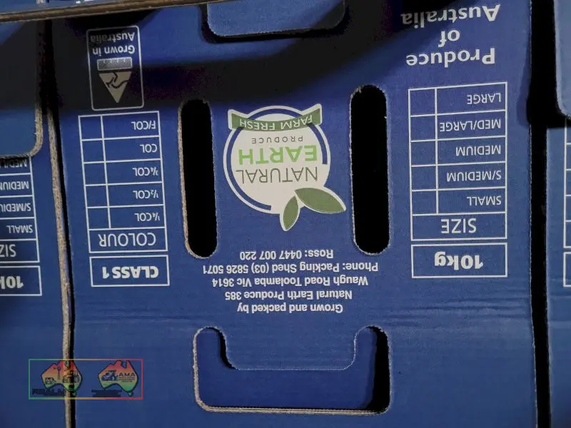 Blue Tomato Cardboard Fruit Boxes ($/Pallet) - photo 6