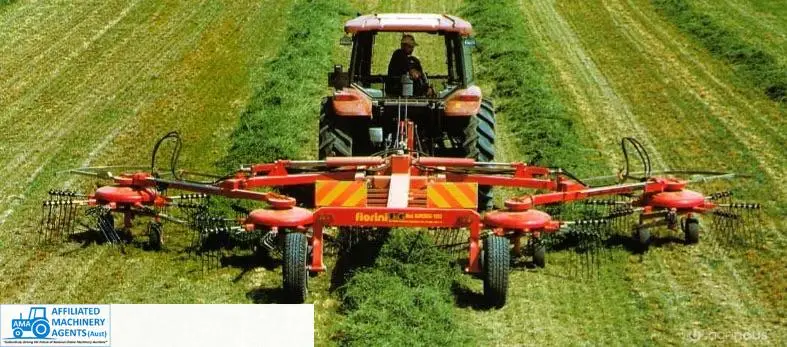 Hay Rake - Fiorini Super Big 1000 - photo 4