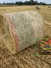 Rolls of Pure Oaten Hay ($/Bale) - photo 3