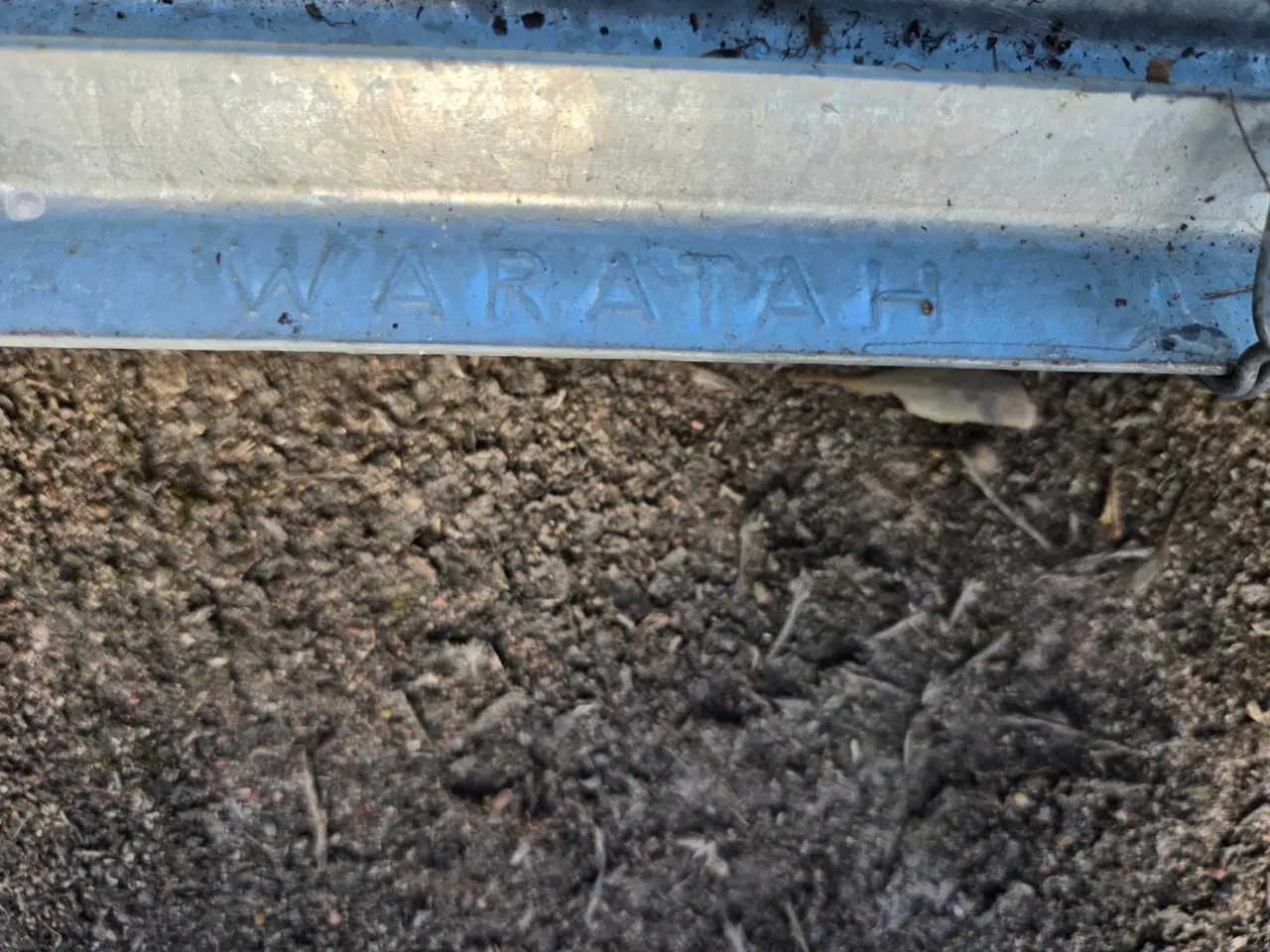 New - 42x 1650mm Waratah Galv. Fence Posts. - photo 4