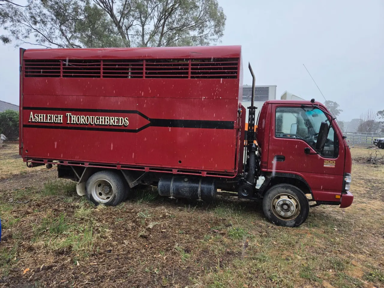 Used - 2005 Isuzu NPR 300 Horse Truck - photo 6